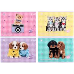 Альбом для рисования Kite Studio Pets, 24 листа Фото