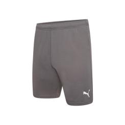 Шорты Puma teamRISE Short 704942-13 сірий L Фото
