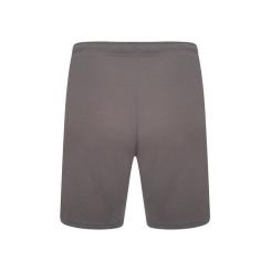 Шорты Puma teamRISE Short 704942-13 сірий L Фото 4