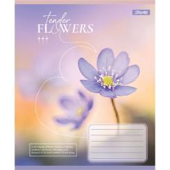 Тетрадь 1 вересня Tender Flowers А5 48 листов линия Фото 5