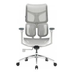 Офисное кресло Sihoo DORO S100 Mesh White Фото 1