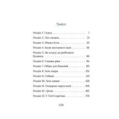 Книга Астролябія Під глодом. Ірландський роман - Маріта Конлон-Макк Фото 1