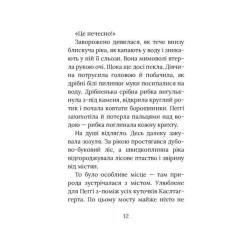 Книга Астролябія Польова квітка. Ірландський роман - Маріта Конлон- Фото 8