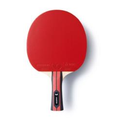 Ракетка для настольного тенниса Butterfly Team Champion FL (6256800002) Фото