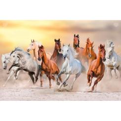 Пазл Tactic Дикі коні, 1000 елементів Фото 1