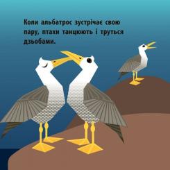 Книга Ранок Повітряний екіпаж - Мадлєн Роджерс Фото 5