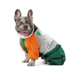 Дождевик для животных Pet Fashion Marlie S3 Фото 3