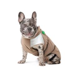 Жилет для животных Pet Fashion Chip M (такса) Фото 2