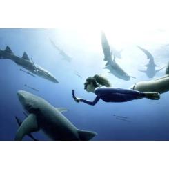 Экшн-камера DJI Osmo Action 4 Standard Combo Фото 8