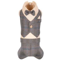 Костюм для животных Pet Fashion Happy XS Фото