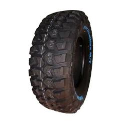 Шина Kapsen 285/75R16LT 126/123Q RS25 Фото