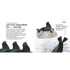 Книга Ранок Ці дивовижні тварини - Наталія Чуб Фото 2