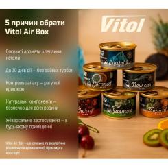 Ароматизатор для автомобиля VITOL Air Box Coconat Фото 5