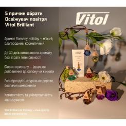 Ароматизатор для автомобиля VITOL Air Romany Holiday 8мл Фото 7