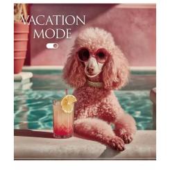 Тетрадь Школярик Star Vocation Mode 60 аркушів клітинка Фото 4