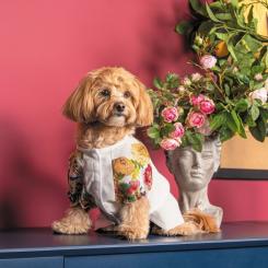 Футболка для животных Pet Fashion Соломія М Фото 4