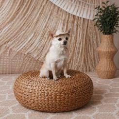 Кепка для животных Pet Fashion Gold XL Фото 6