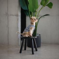 Футболка для животных Pet Fashion Tropic М Фото 4