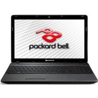 Ноутбук Packard Bell EASYNOTE F4211-SB-341RU Фото