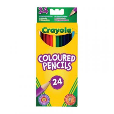 Карандаши цветные Crayola 24 цветных карандаша Фото