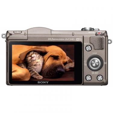 Цифровой фотоаппарат Sony Alpha 5100 kit 16-50 Brown Фото 2