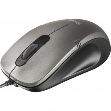 Мышка Trust Ivero Compact Mouse Фото