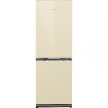 Холодильник Snaige RF34SM-S1DA21 Фото
