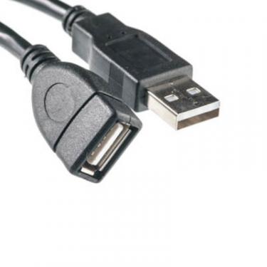 Дата кабель PowerPlant USB 2.0 AM/AF 5.0m Фото