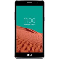 Мобильный телефон LG X155 (Max) Titan Фото