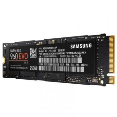 Накопитель SSD Samsung M.2 2280 250GB Фото 2