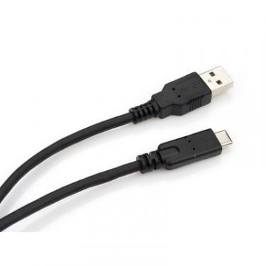 Дата кабель Vinga USB 2.0 Type-C to AM 1.0m Фото 3