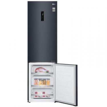 Холодильник LG GW-B509SBDZ Фото 8