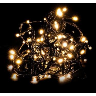 Гирлянда Luca Lighting Змійка, 5 м, теплий білий Фото