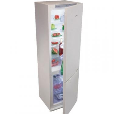 Холодильник Snaige RF53SG-Z50021 Фото
