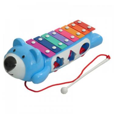 Развивающая игрушка BeBeLino Ксилофон-сортер на колесах Фото
