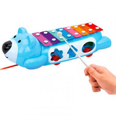 Развивающая игрушка BeBeLino Ксилофон-сортер на колесах Фото 1