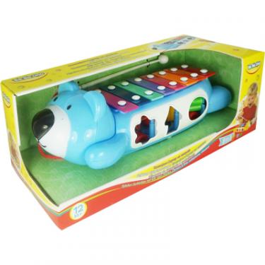 Развивающая игрушка BeBeLino Ксилофон-сортер на колесах Фото 3