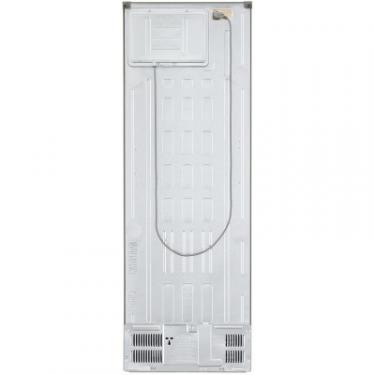 Холодильник LG GC-B399SMCM Фото 2