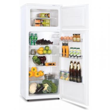 Холодильник Snaige FR24SM-S2000F Фото 2