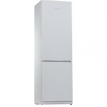Холодильник Snaige RF36SM-S0002G Фото