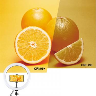 Набор блогера Puluz Ring USB LED lamp PKT3043 10" + tripod 1.1 м Фото 6
