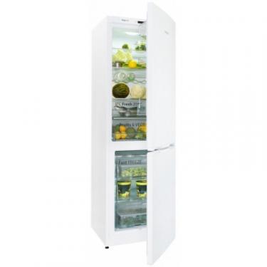 Холодильник Snaige RF56SG-S500NG Фото 3