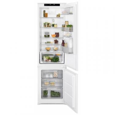 Холодильник Electrolux RNS8FF19S Фото