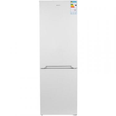 Холодильник Delfa BFNH-190 Фото