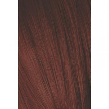 Краска для волос Schwarzkopf Professional Igora Royal 5-88 60 мл Фото 1