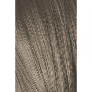 Краска для волос Schwarzkopf Professional Igora Royal 8-1 60 мл Фото 1