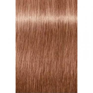Краска для волос Schwarzkopf Professional Igora Royal Dusted Rouge 9-674 60 мл Фото 1
