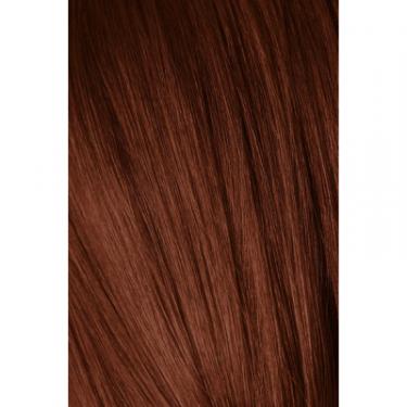Краска для волос Schwarzkopf Professional Igora Royal Absolutes 5-80 Красный натуральный 60 Фото 1