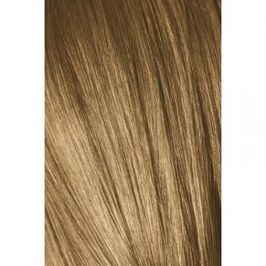 Краска для волос Schwarzkopf Professional Igora Royal Absolutes 8-50 Золотистый натуральный Фото 1
