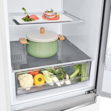 Холодильник LG GW-B509SQKM Фото 9
